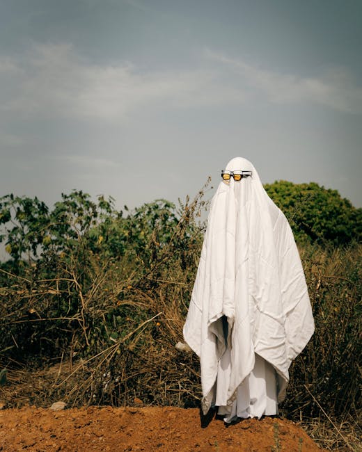A figure draped in a large white sheet resembling a ghost stands outside on a patch of bare earth with dry, brown grass and bushes in the background under a cloudy sky. The figure has a pair of glasses placed on top of the sheet, creating a humorous appearance. The scene appears to be staged outdoors, with no other objects or structures visible nearby. This image captures a playful scene possibly related to costume or Halloween themes, but does not directly depict house removals or moving services. The background consists of green shrubbery and trees, contrasting with the earthy ground and the white fabric of the costume.